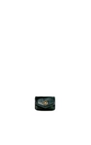 Pasek Elisabetta Franchi Verde Bottiglia