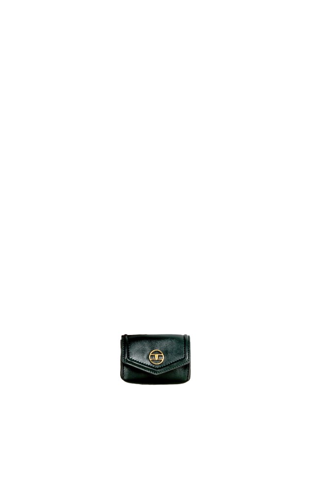 Pasek Elisabetta Franchi Verde Bottiglia